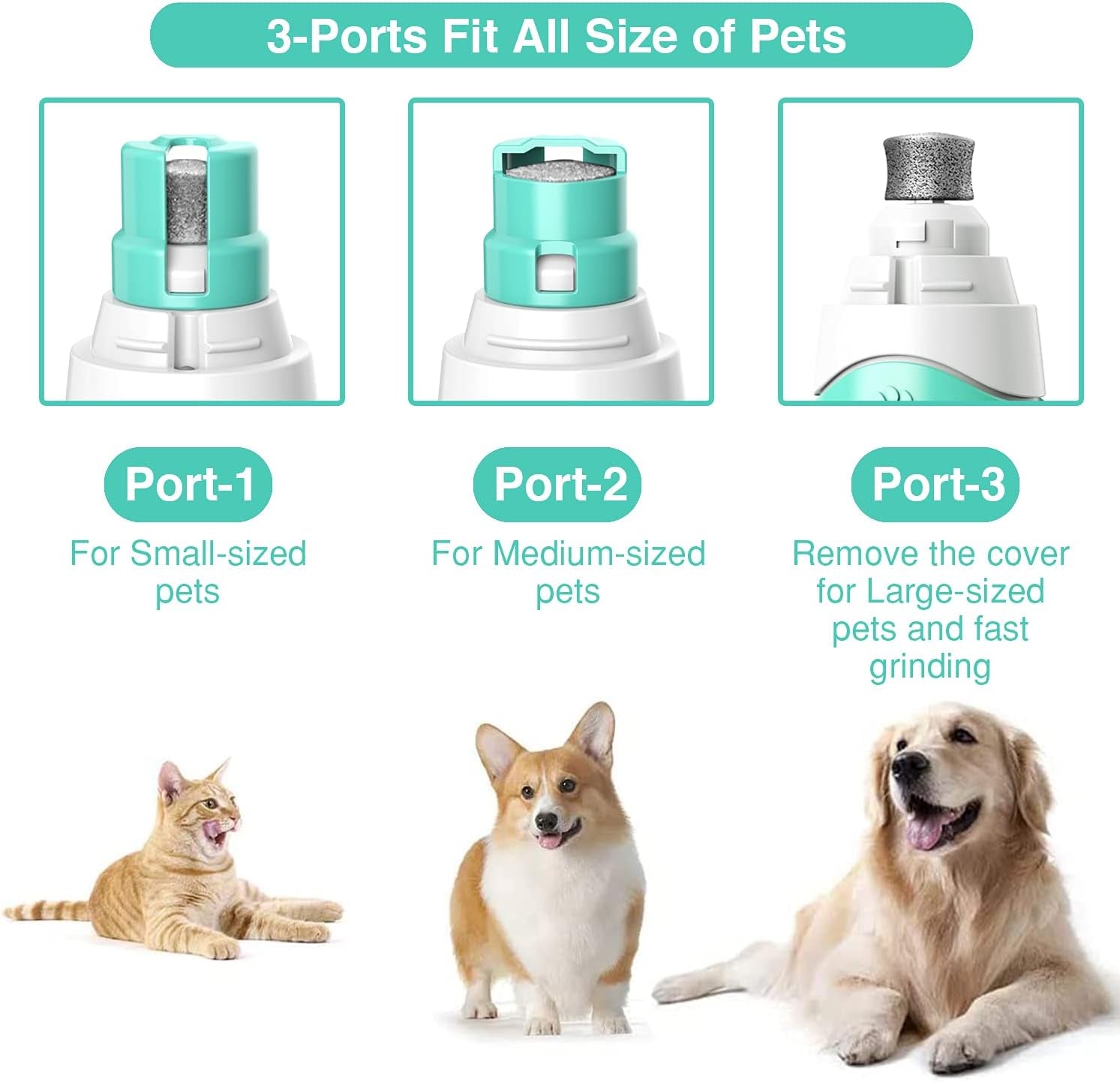 Dog Nail Grinder with LED Lighting & Super Quiet Run,2-Speed Pet Nail Grinder with 2000Mah Li Battery for Small Medium and Large Dogs & Cats,Painless Paws Grooming & Smoothing
