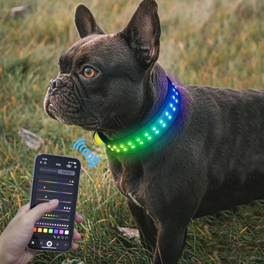Gift for Pets, LED Light up Dog Collars, Rechargeable Lighted Dog Collar with USB Charging Cable, Glow in the Dark Dogs Collars for Night Walking & Running, Christmas Gift