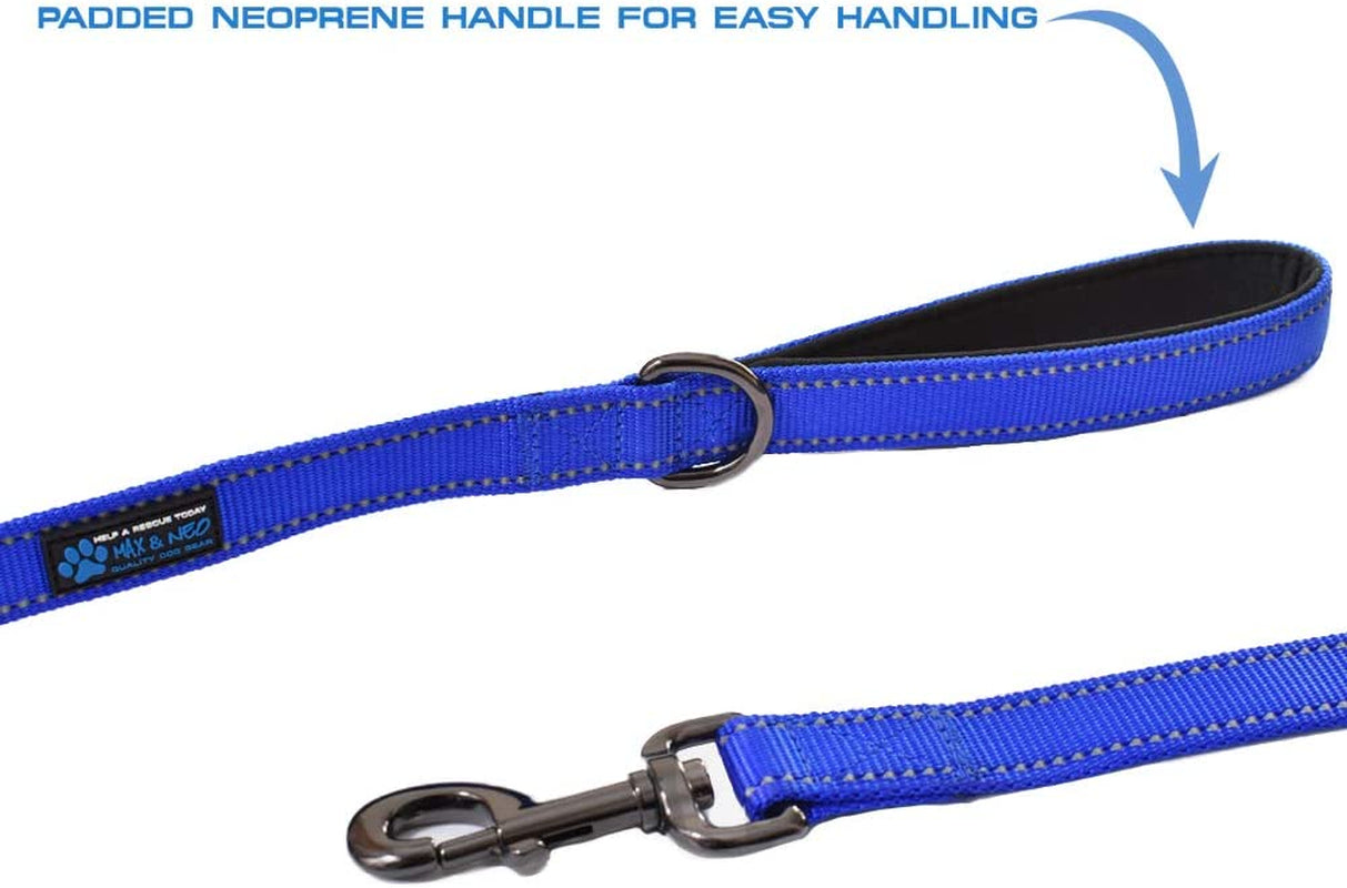 Double Handle Traffic Dog Leash - Reflective, Donates to Dog Rescue (Pink, 6 FT)