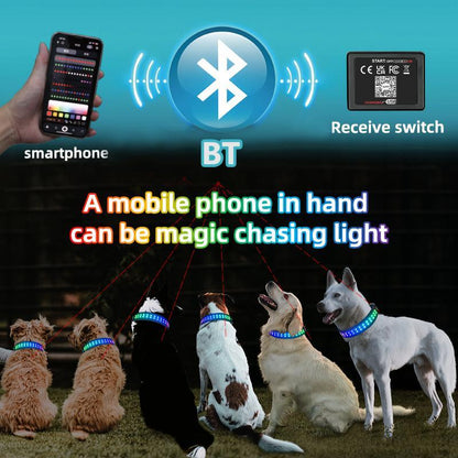 Gift for Pets, LED Light up Dog Collars, Rechargeable Lighted Dog Collar with USB Charging Cable, Glow in the Dark Dogs Collars for Night Walking & Running, Christmas Gift