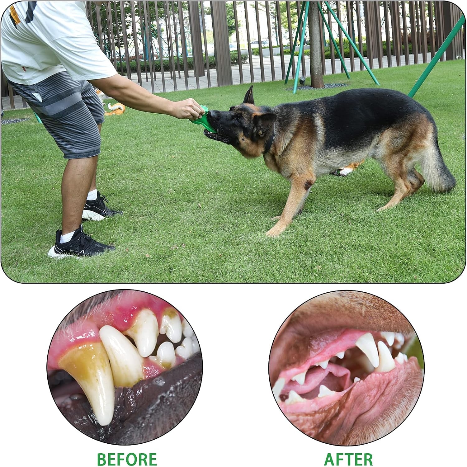 Dog Chew Toys, Rubber Dog Squeaky Chew Toys,Reduces Plaque & Tartar Teeth Cleaning Chew Toys, Tough Tear-Resistant Shoe Shape Dog Toys for Small Medium Dog(Green)