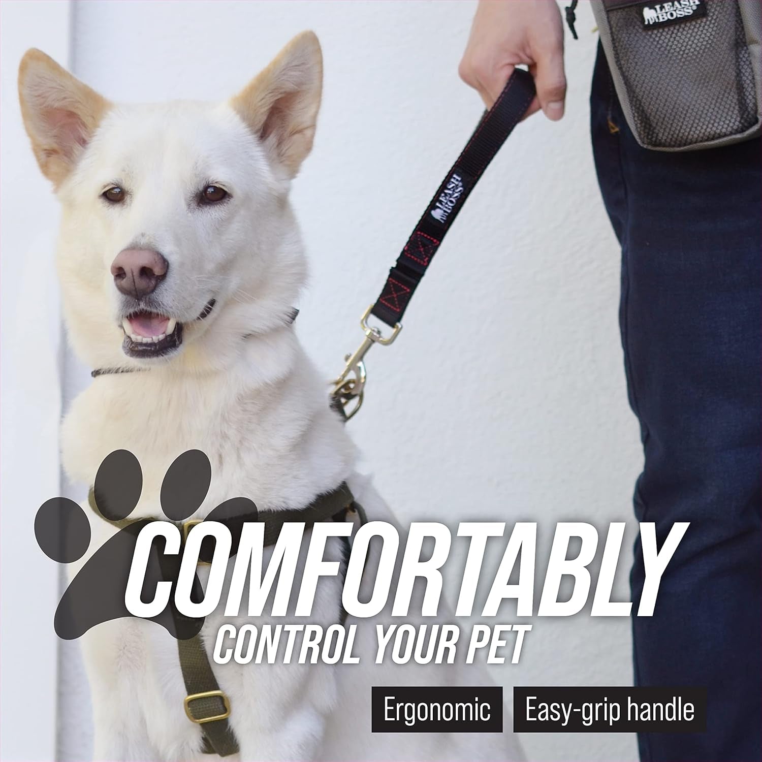 Short Dog Leash with Padded Handle - 12, 18, and 24 Inch Leads for Large Dogs - 1 Inch Nylon (12 In, Black/Red/Gray)