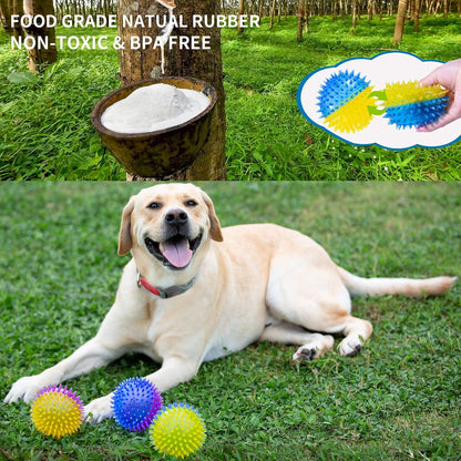 Squeaky Dog Toy Balls for Medium and Large Dogs, 3.5″ Interactive Fetch Ball Puppy Chew Toy Spike Ball, Durable Bounce Squeak Play Catch Ball for Teeth Cleaning and Dental Care
