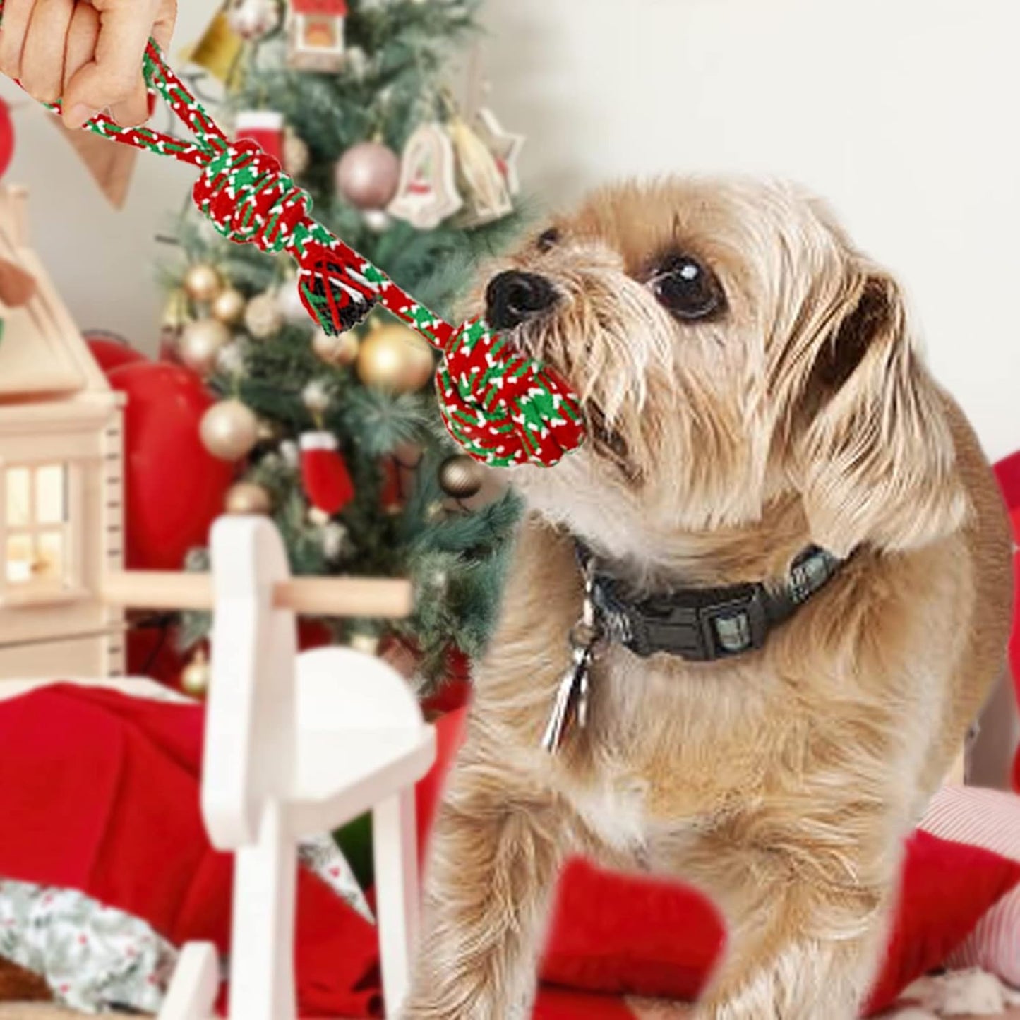 Christmas Dog Toys, 6 Pack Cotten Dog Rope Toys with Frisbee, Tug of War, Dog Gifts for Christmas, Dog Tug Toys Teething for Small and Medium Dogs