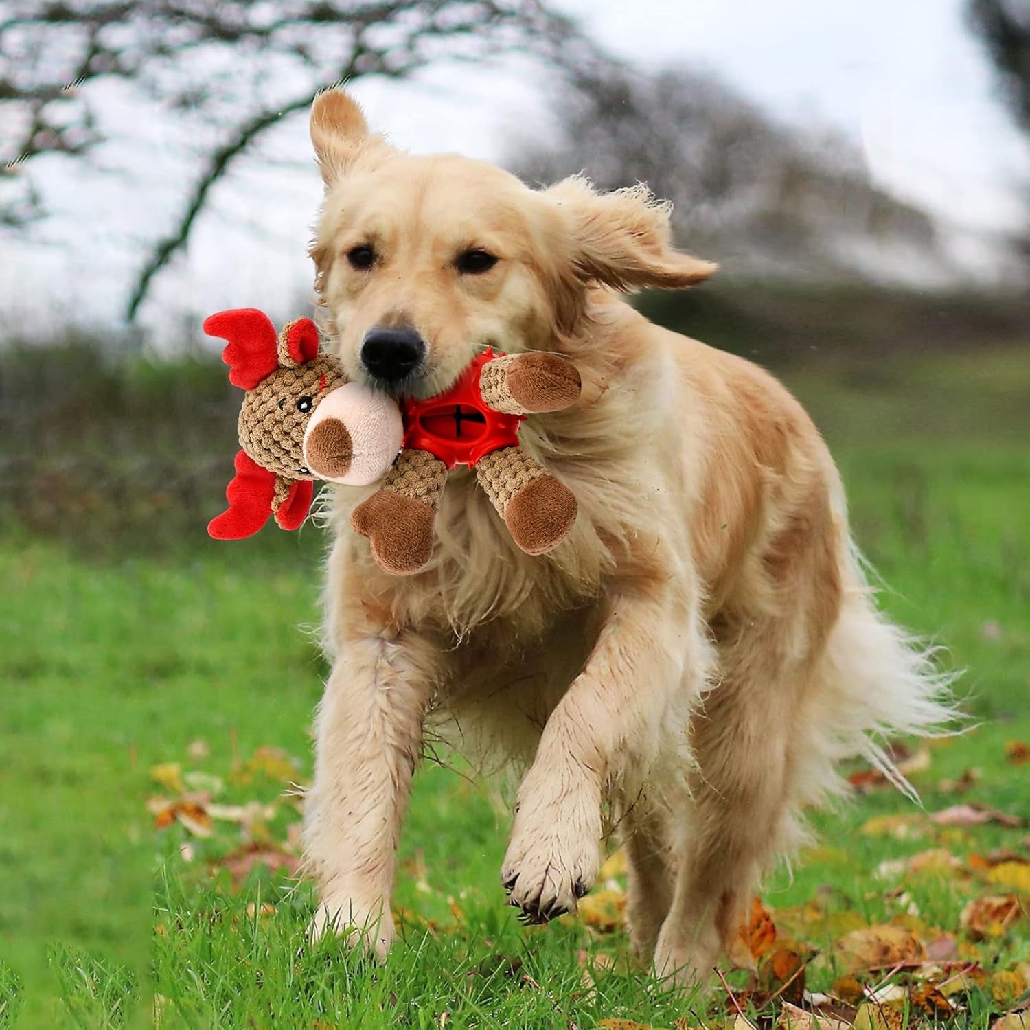 Christmas Squeaky Dog Toys, Durable Latex Rubber Chew Bite Toys Stuffed with Crinkle Paper for Puppy to Medium Pets (Elk)