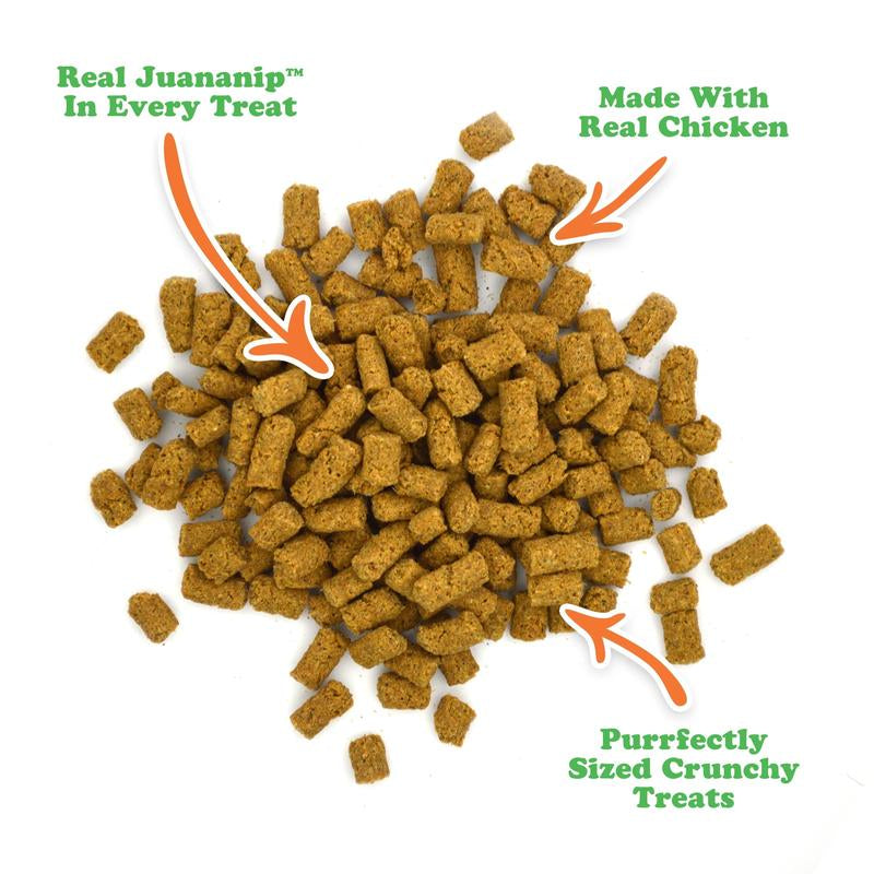 Irresistible Crunchy Chicken Bites with Catnip – Juananip Chill Dog Treats
