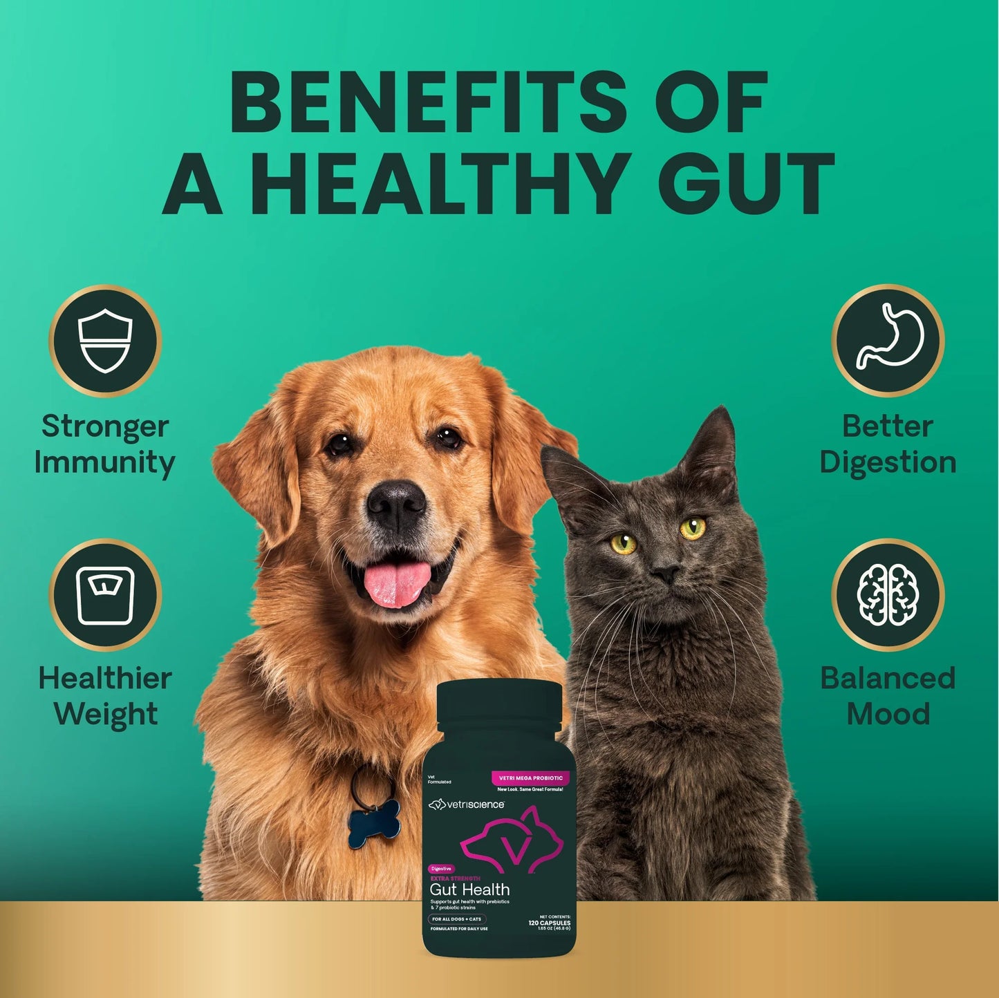 Gut Health Extra Strength Probiotic Capsules for Dog & Cat, Unflavored 120 Count Bottle