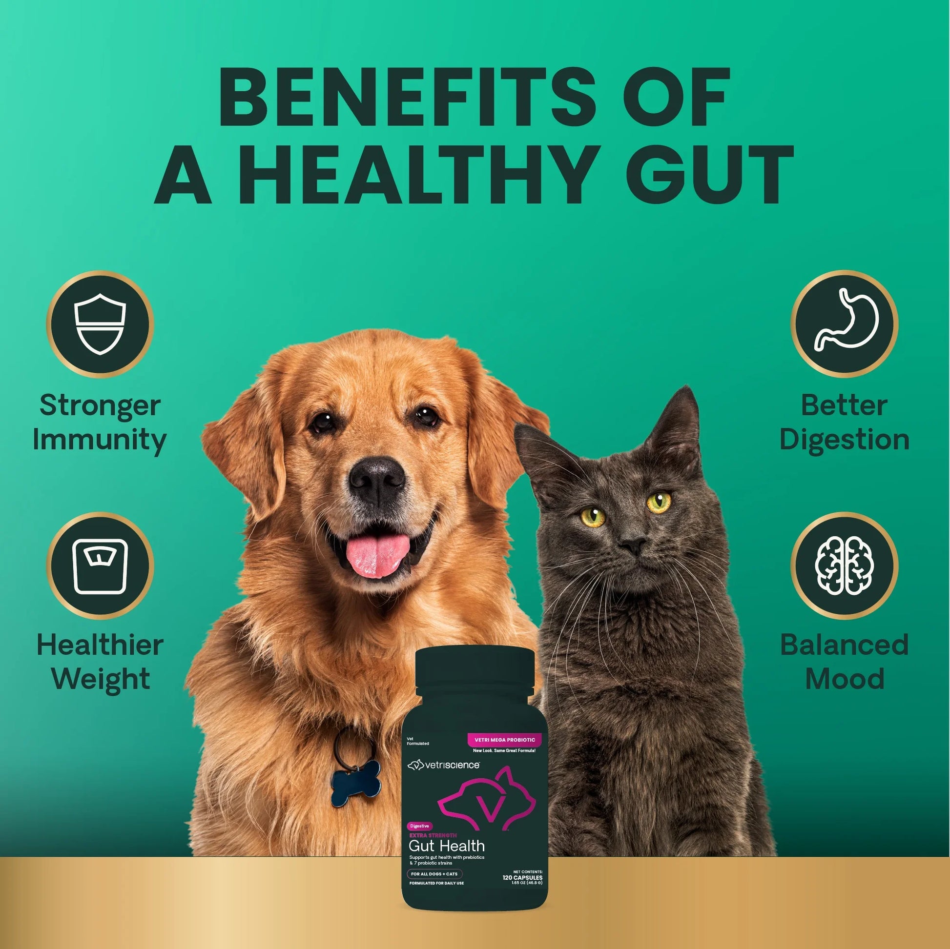 Gut Health Extra Strength Probiotic Capsules for Dog & Cat, Unflavored 120 Count Bottle