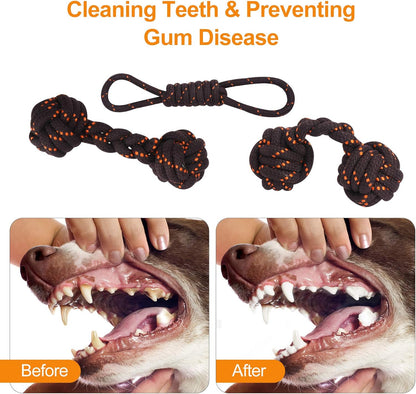 Dog Toys, Squeaky No Stuffing Fox Raccoon Plush Toys Indestructible Cotton Rope Chew Set Toys Tooth Cleaning, Interactive Game,Anxiety Release for Small Medium Aggressive Chewers
